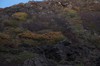 DSCF7431_Export