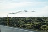 DSCF7457_Export