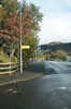 DSCF7462_Export