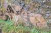DSCF7507_Export