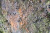 DSCF7508_Export