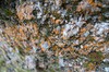 DSCF7509_Export