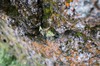 DSCF7510_Export