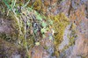 DSCF7511_Export