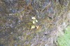 DSCF7522_Export