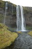 DSCF7541_Export