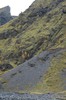 DSCF7556_Export
