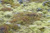 DSCF7558_Export