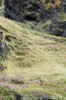 DSCF7569_Export