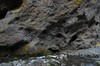DSCF7586_Export