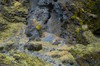 DSCF7591_Export