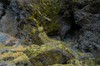 DSCF7592_Export