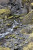 DSCF7600_Export