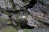 DSCF7610_Export