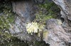 DSCF7619_Export
