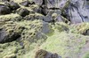DSCF7621_Export