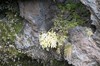 DSCF7623_Export