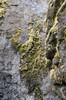 DSCF7629_Export