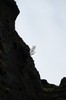 DSCF7651_Export