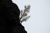 DSCF7654_Export