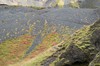 DSCF7693_Export