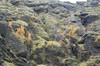 DSCF7696_Export