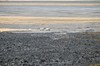 DSCF7698_Export