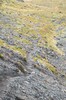 DSCF7699_Export
