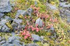 DSCF7700_Export