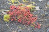 DSCF7703_Export