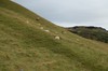 DSCF7726_Export