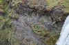 DSCF7736_Export