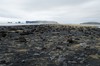 DSCF7749_Export