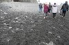 DSCF7752_Export