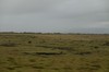 DSCF7808_Export