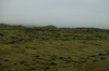 DSCF7810_Export