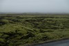 DSCF7812_Export