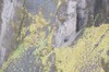 DSCF7831_Export