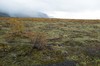 DSCF7880_Export