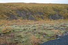 DSCF7881_Export