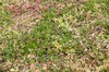 DSCF7883_Export