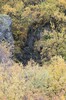 DSCF7884_Export