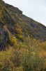 DSCF7886_Export