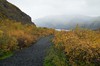 DSCF7887_Export