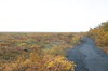 DSCF7889_Export