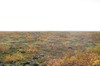 DSCF7890_Export
