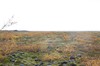 DSCF7891_Export