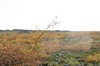 DSCF7892_Export