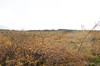 DSCF7893_Export