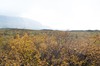 DSCF7894_Export